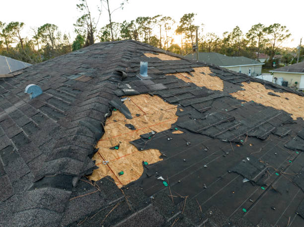 Trusted Poth, TX Roofing service Experts